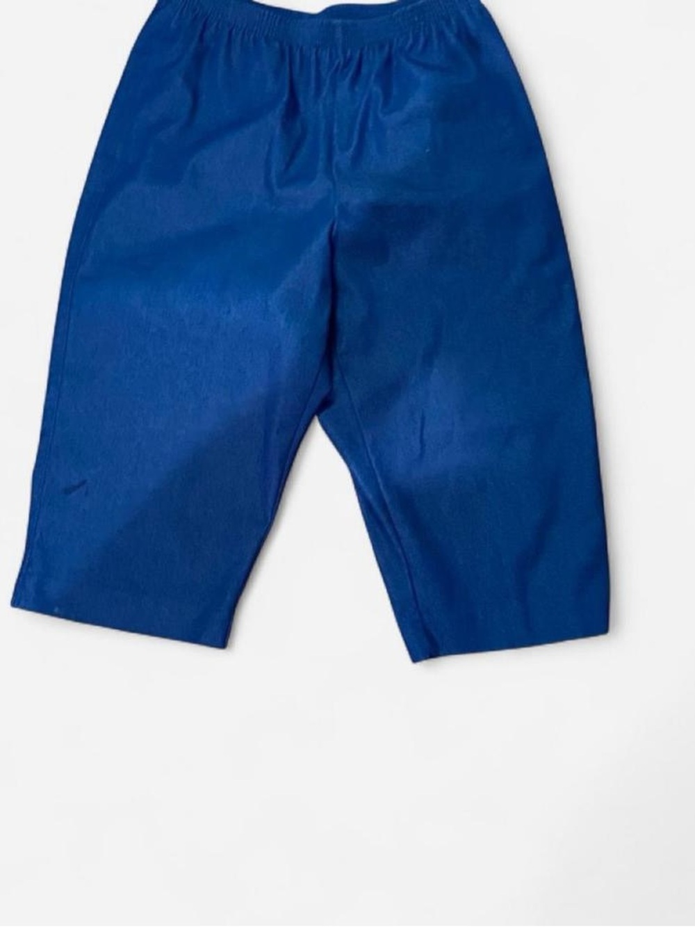 Alfred Dunner Deep Blue Stretch Capri Pants